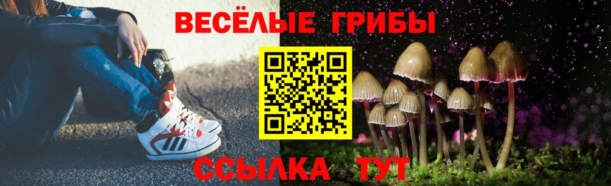 Галлюциногенные грибы ЛСД  Вход с VPN  Псилоцибиновые грибы прущие грибы  где купить наркоту  Мегион 